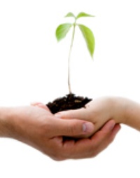 Picture for Professional & Personal Empowerment Coaching package